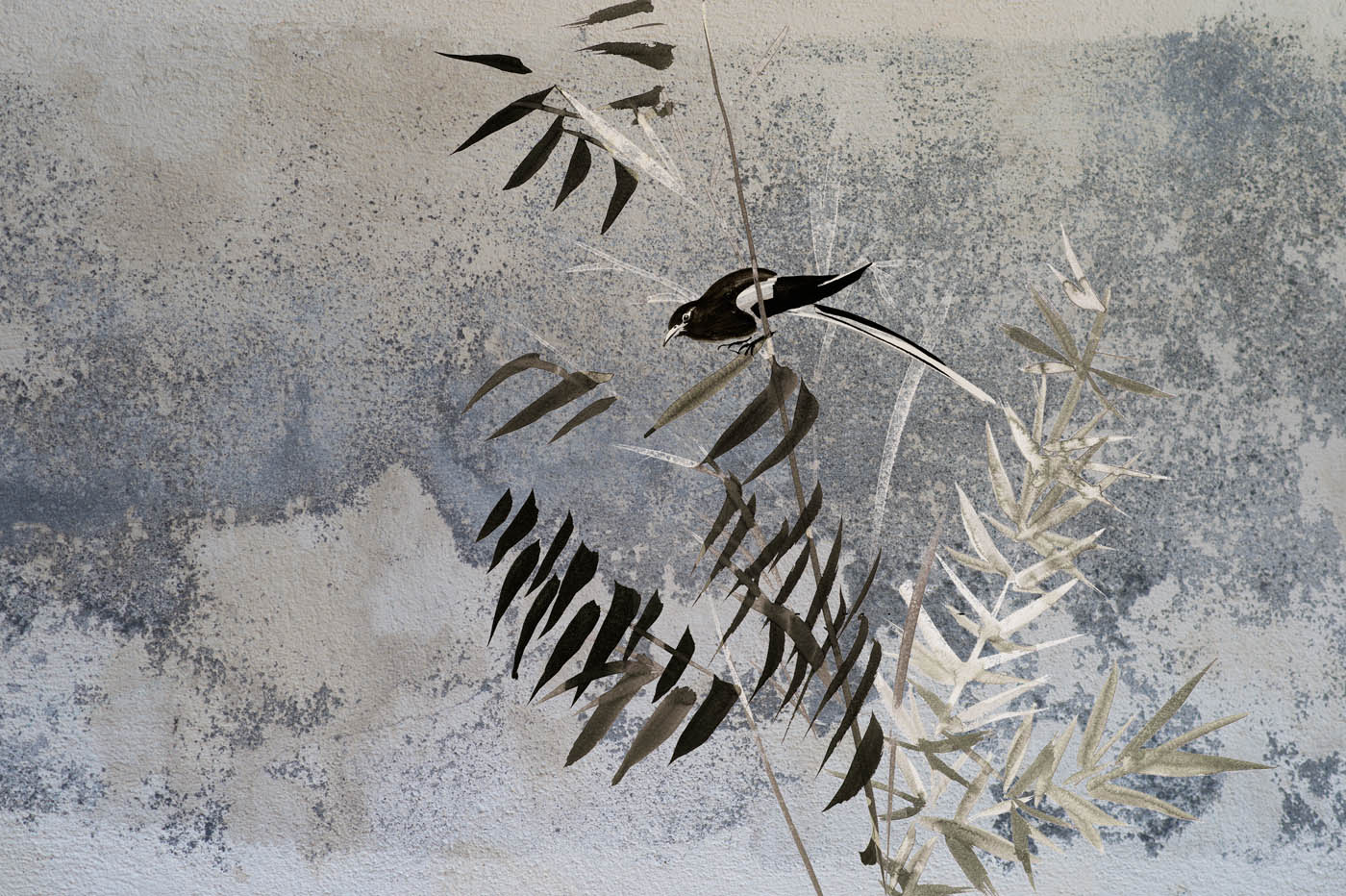 bamboos and a magpie