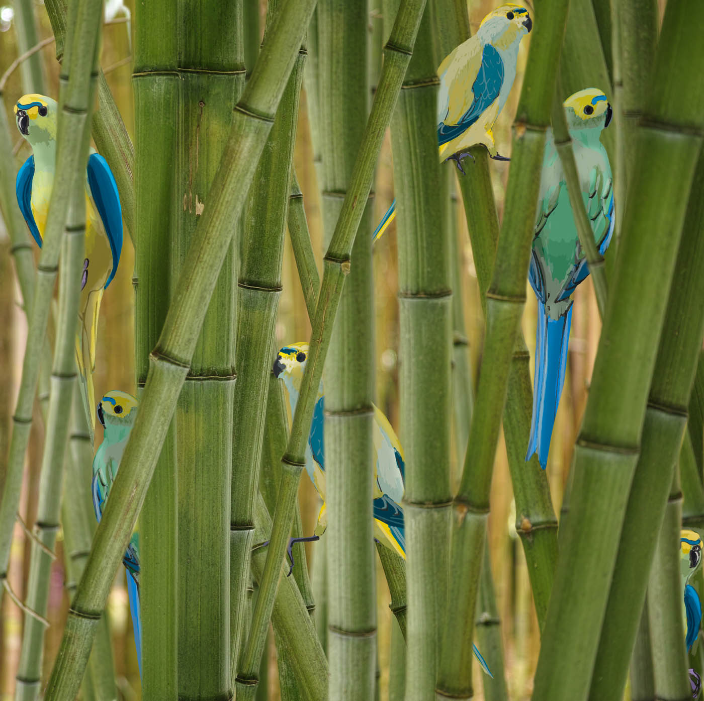 parrots and bamboos