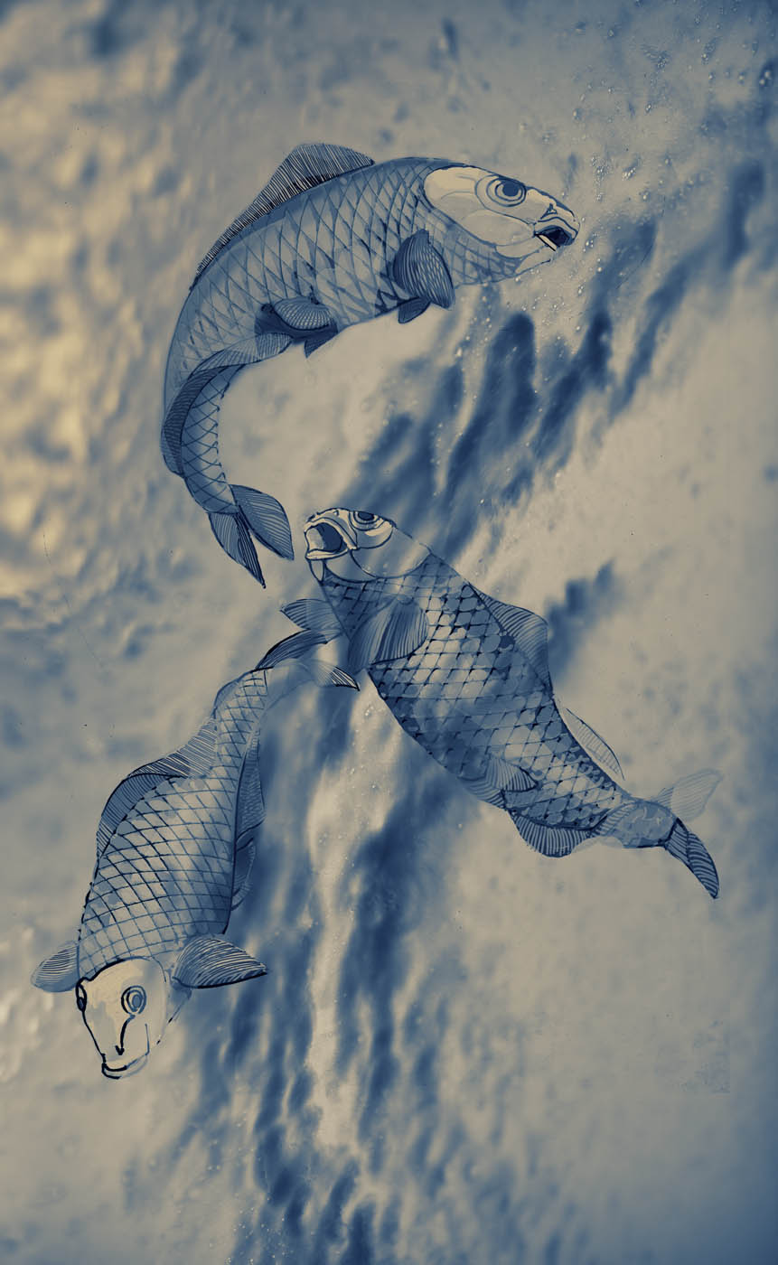 blue fishes